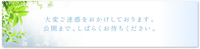 大変ご迷惑をおかけしております。 公開まで、しばらくお待ちください。
